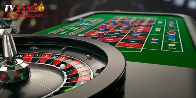 Dành cho người đam mê cá cược