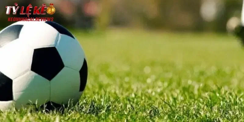 Tổng hợp web đáng tin