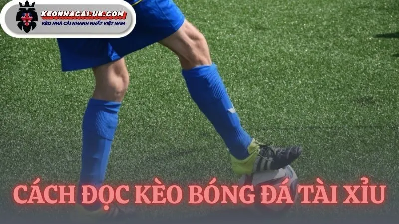 cách đọc kèo bóng đá tài xỉu